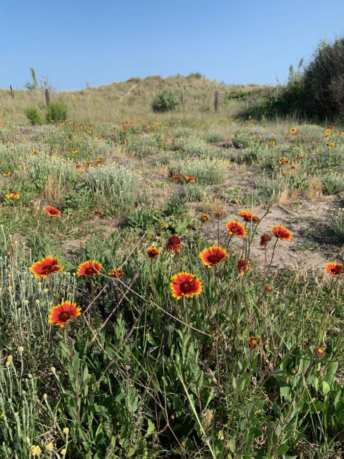Mon Petit Paradis, Vue Sur Dunes Et Mer, Acces Direct Plage Robinson, Terrasse, Parking Prive, Tres Ressourcant, A Marseillan Plage Bagian luar foto